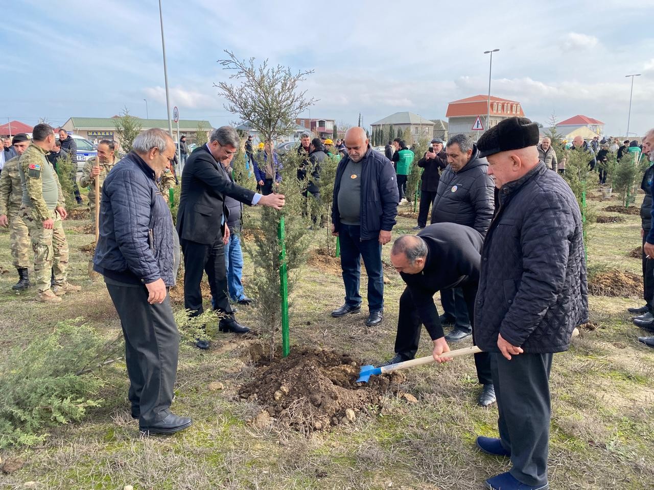 Xəzər rayonunda ağacəkmə aksiyası keçirildi - FOTOLAR